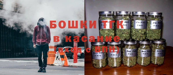 трава Балахна
